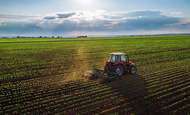 Landwirtschaft